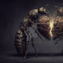 Fading Love