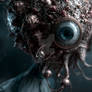 The Fixer