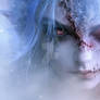 The Scarred