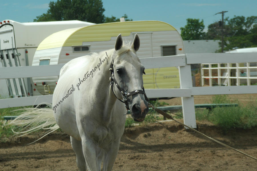 Rogan Head Shot 004 by hiddenleafstudios on DeviantArt