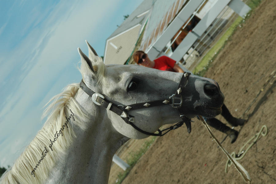 Rogan Head Shot 005 by hiddenleafstudios on DeviantArt