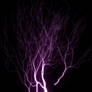 Lightning 1191 by zummerfish