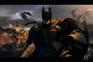 The Dark Knight Rises 3D