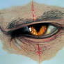 The Witcher Eye