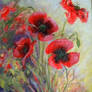 POPPIES-2