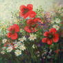 POPPIES-DAISIES