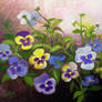 colorful pansies