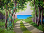 Seaward by Hydrangeas