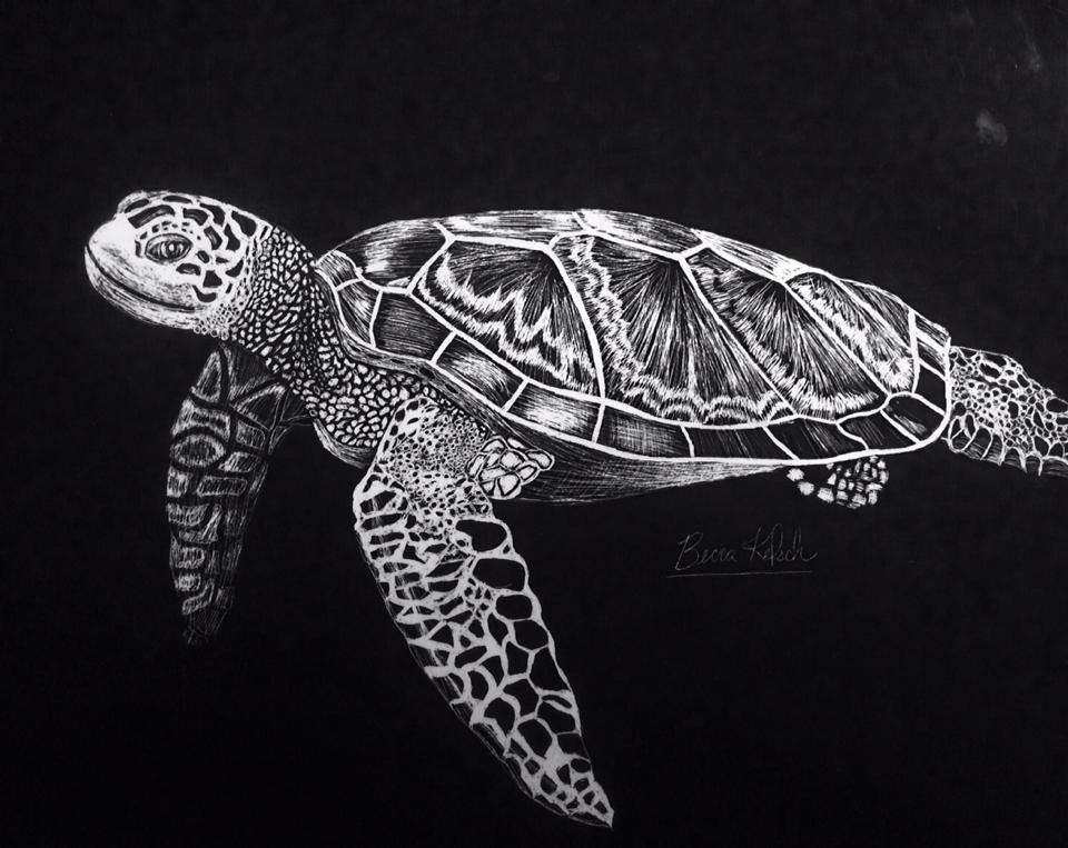 easy scratch art turtle