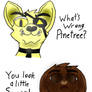 Woah Gravity Cats