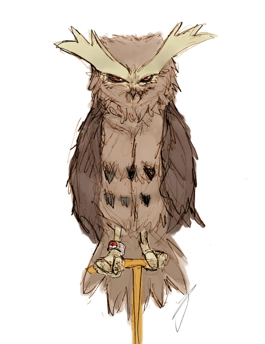 noctowl