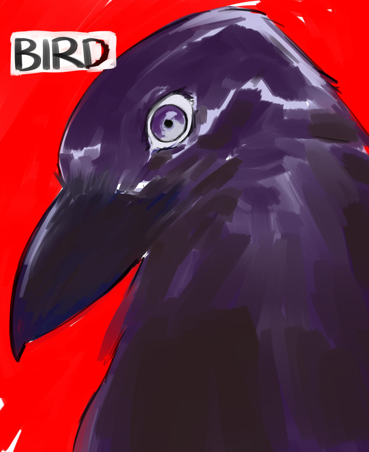 Birdd Birdd by JonJonTheArtist on DeviantArt