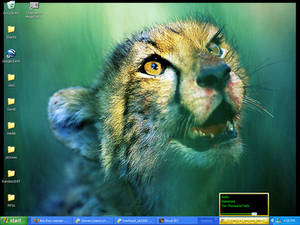 Cheetah desktop