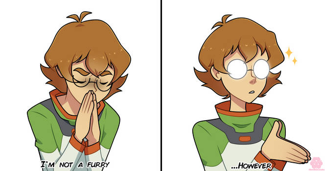 Top Pidge Explore the Best Pidge Art | DeviantArt