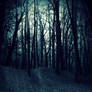 Premade BG Dark Woods