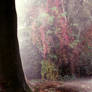 Premade BG Enchanted Forest 2