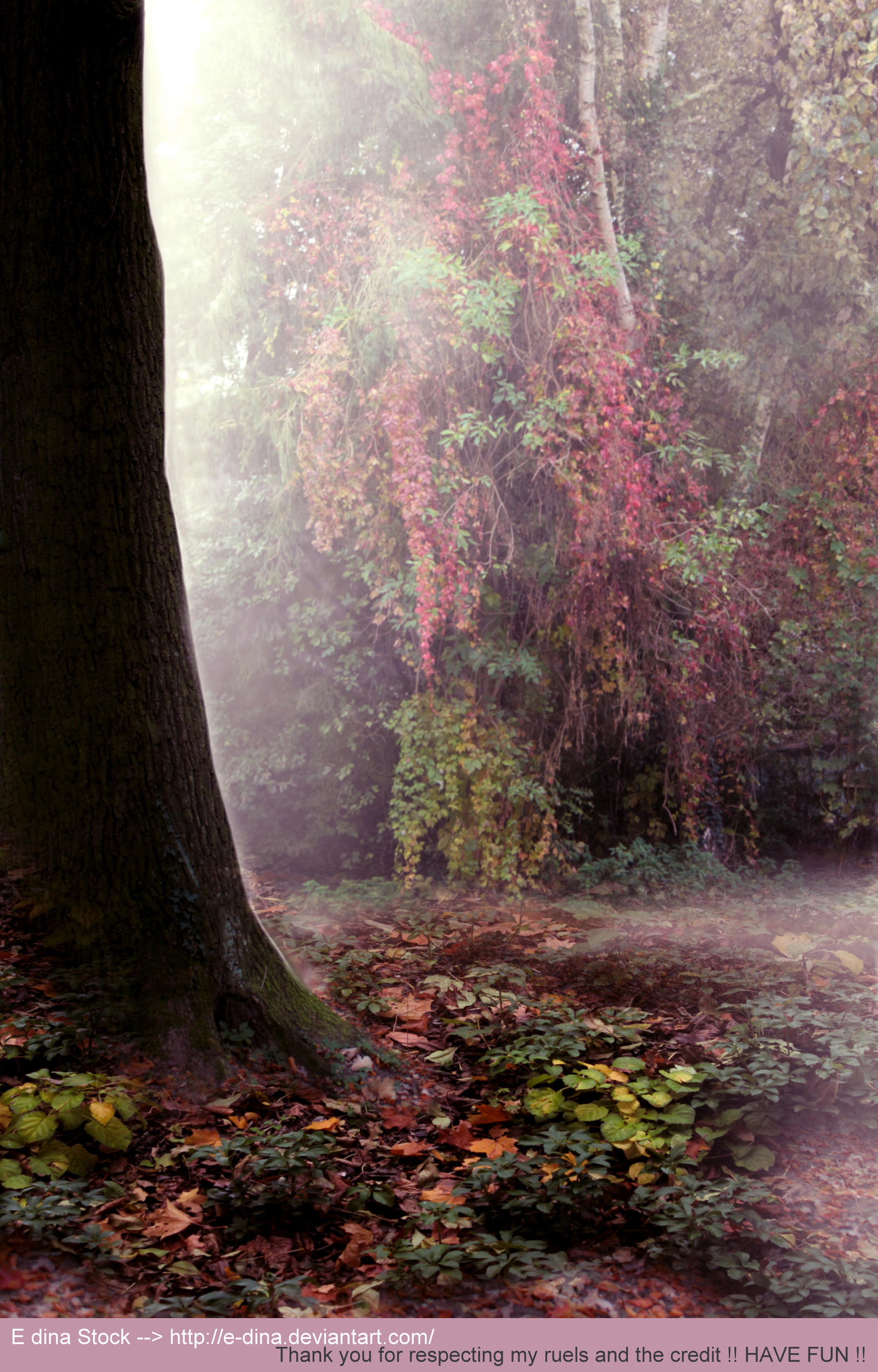 Premade BG Enchanted Forest 2