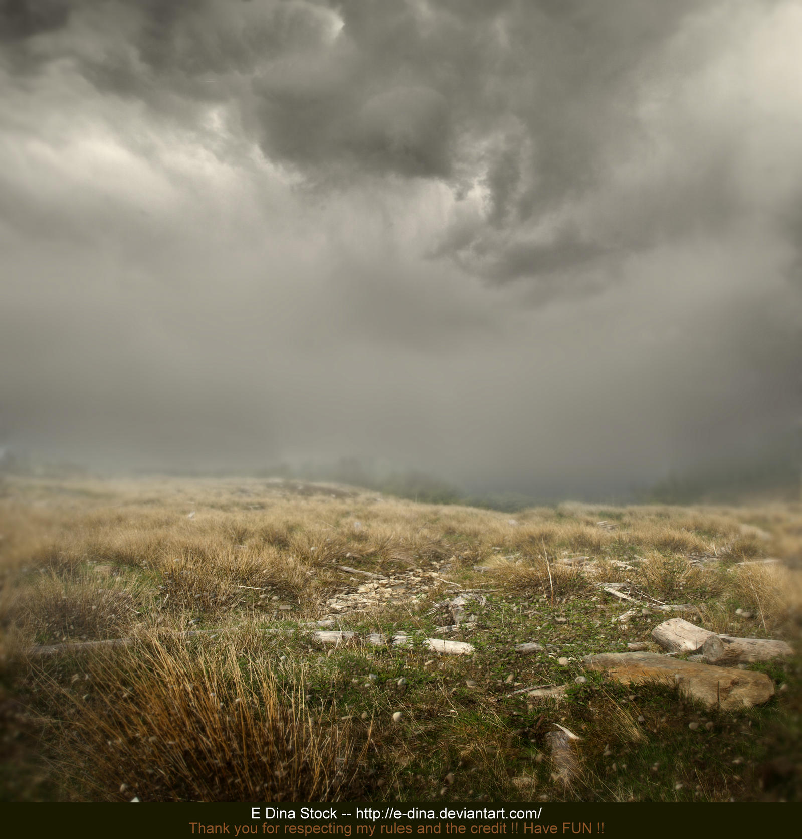 Premade BG Nature