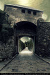 Premade BG A Castle with Garden by E-DinaPhotoArt