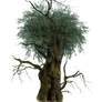 HQ PNG Stock Tree Man