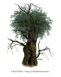 HQ PNG Stock Tree Man