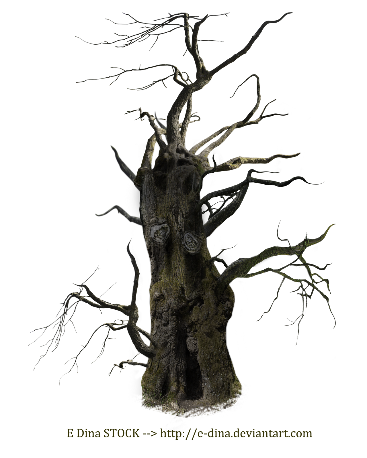 HQ PNG Stock Spooky Tree Mann