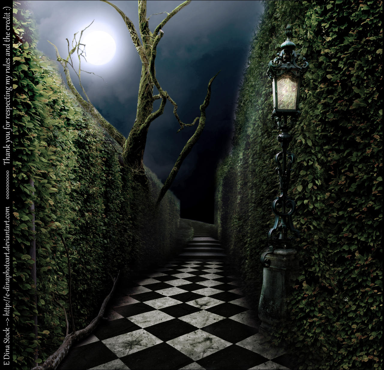 Premade BG Labyrinth at Night by E-DinaPhotoArt on DeviantArt