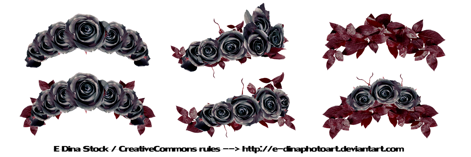 PNG Stock Floralwreath dark roses