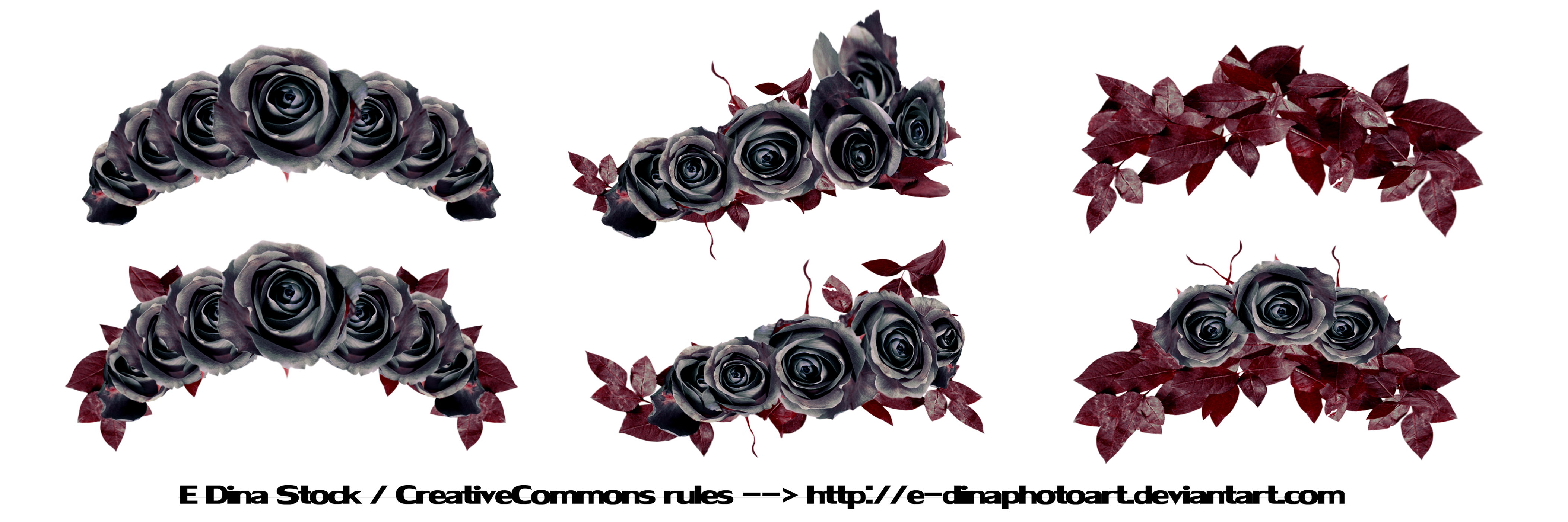 PNG Stock Floralwreath dark roses