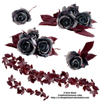 PNG Stock Black Roses