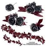 PNG Stock Black Roses by E-DinaPhotoArt