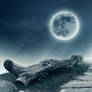 Premade BG Moonlight 2