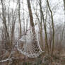 frozen cobweb