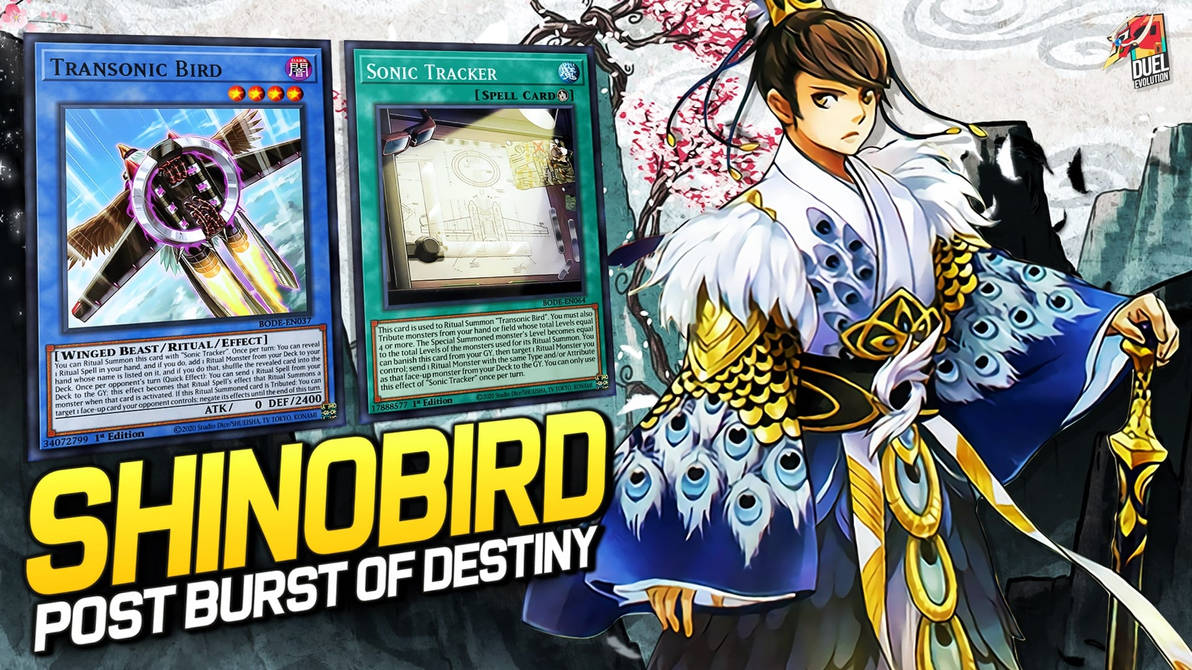 Shinobird by Marth951 on DeviantArt
