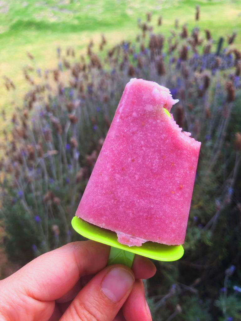 Receta de paleta helada by BakingCrush on DeviantArt