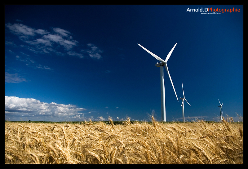 Windmills