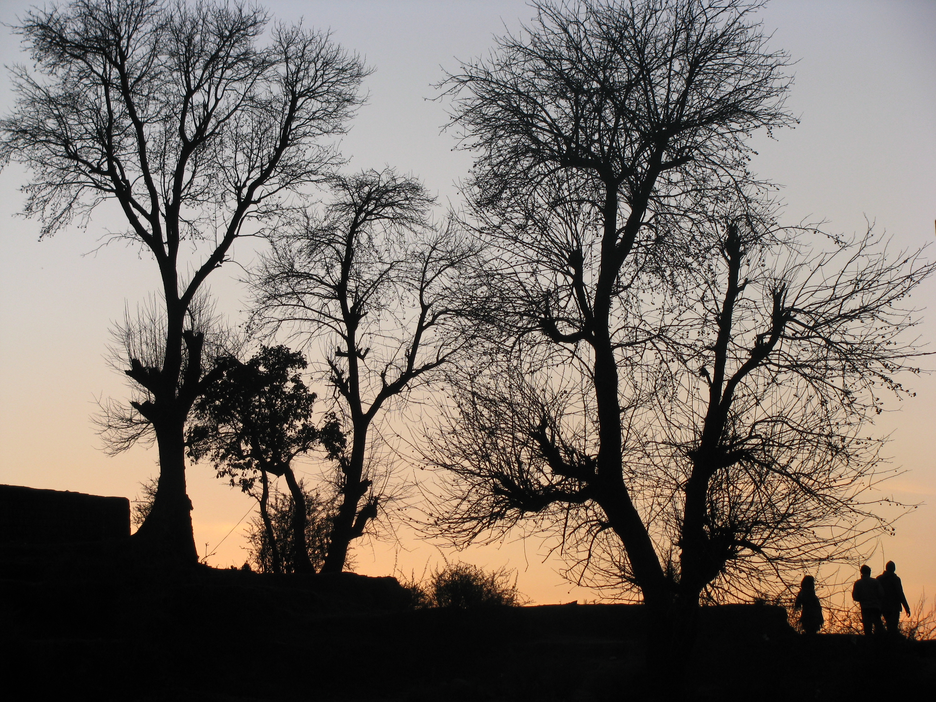 Sunset Walk