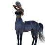 Grey Centaur