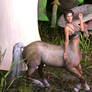 Centaur female 112