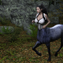 Centaur Female 142
