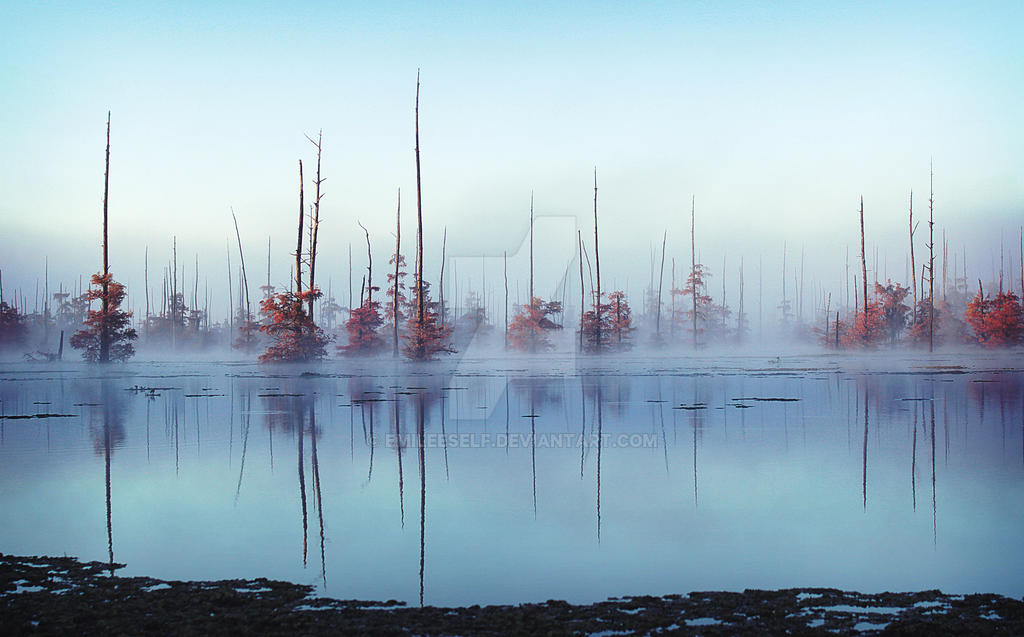 Black Lake, Louisiana by EmileeSelf Black Lake, Louisiana by EmileeSelf