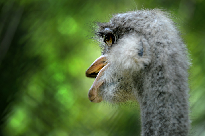 Bad Hair Day...