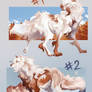 Wolves adopts #13 and #14