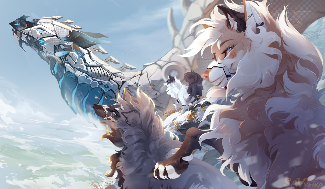 Through the universes