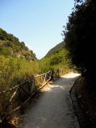 Path