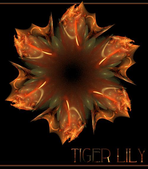 Tiger Lily