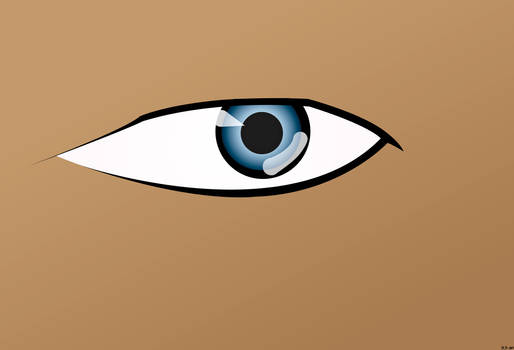 Vector eye