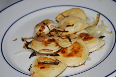 Pirogi2