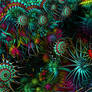 Living Colour