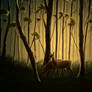 Deer in the forest